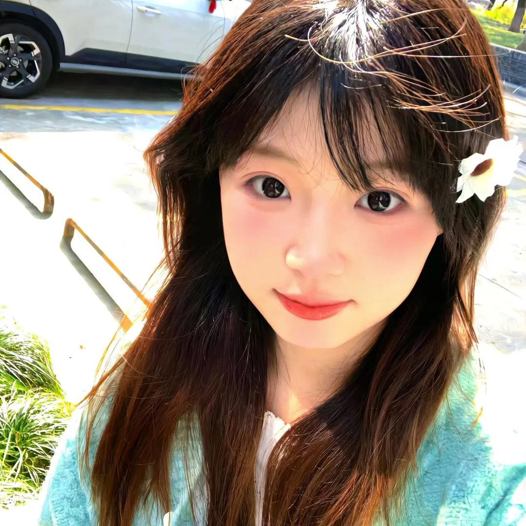离狼之歌