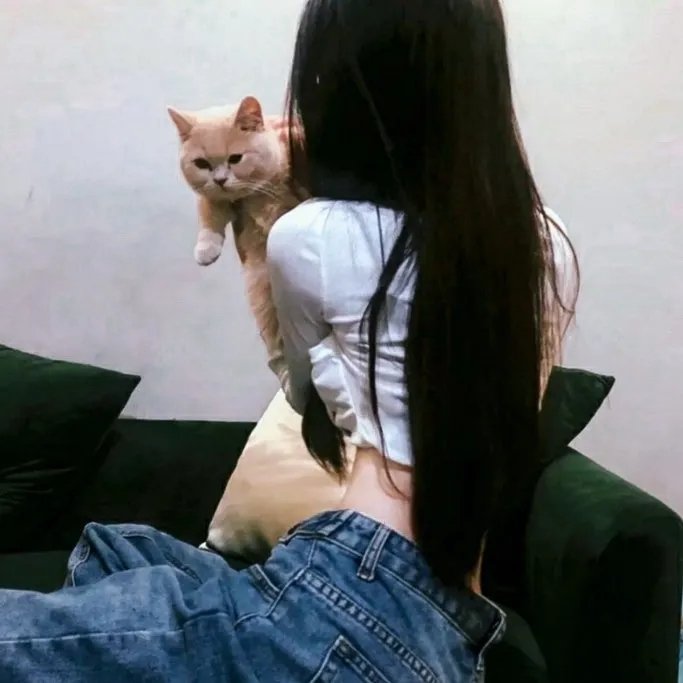 我的老婆是老公