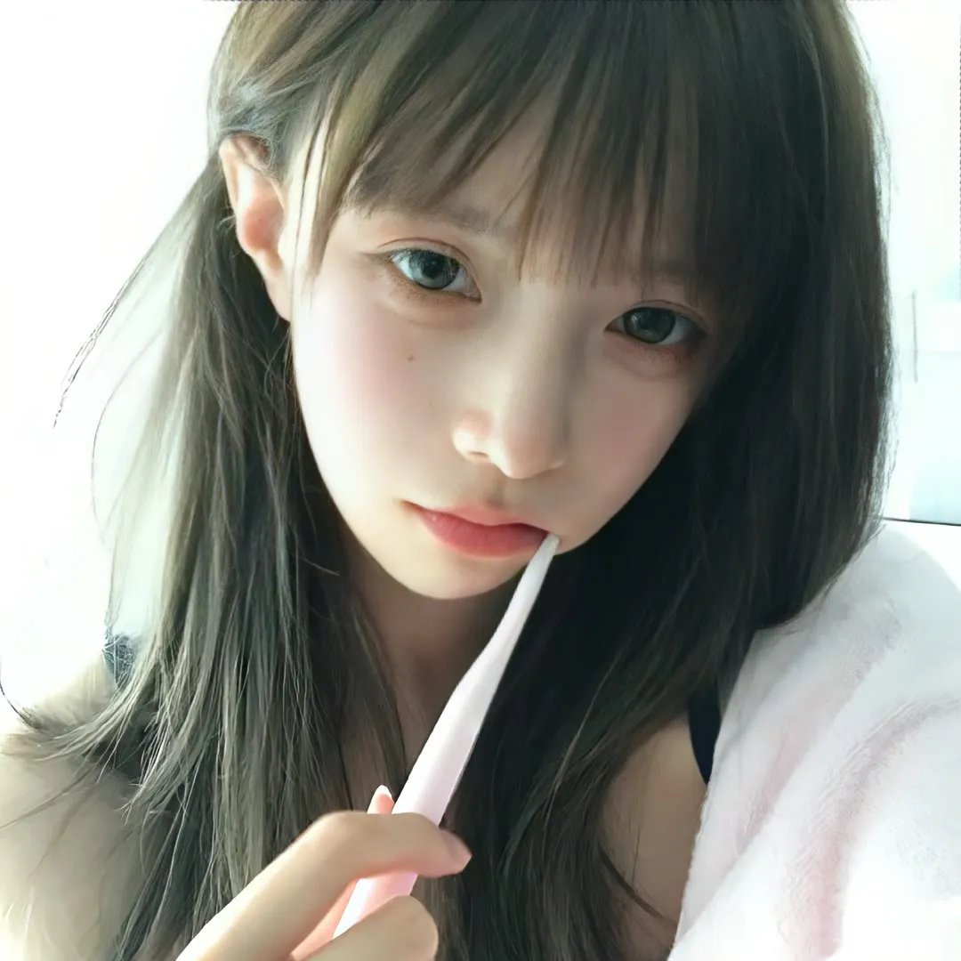 平行森林2024